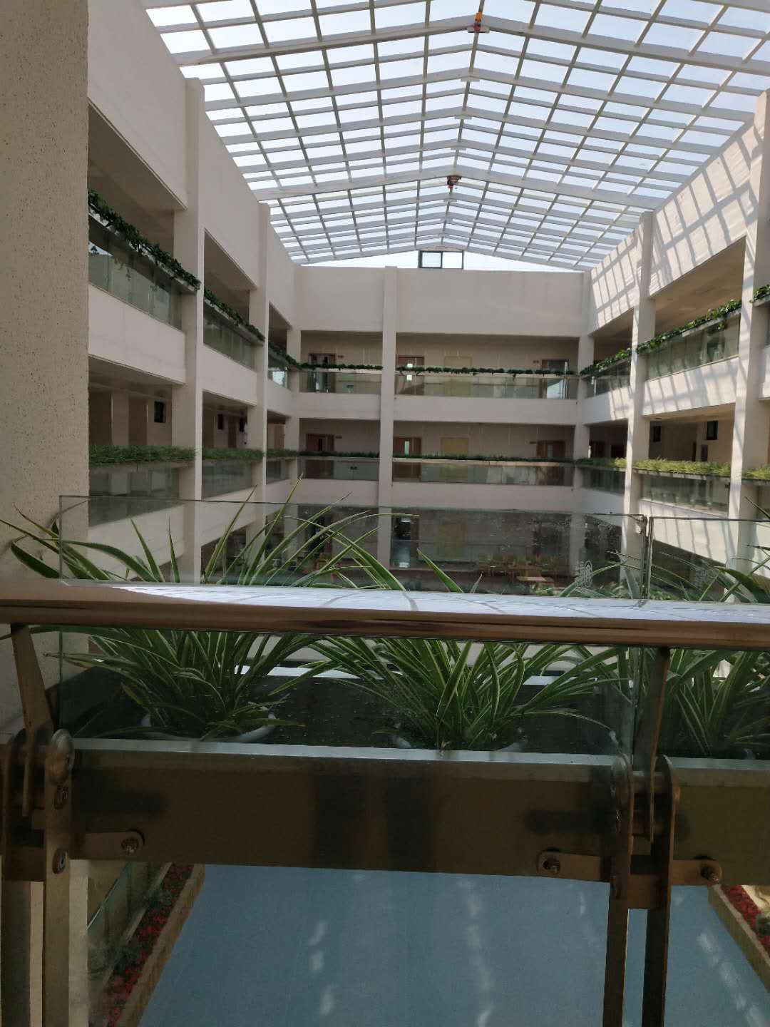 1586779997211286.jpg